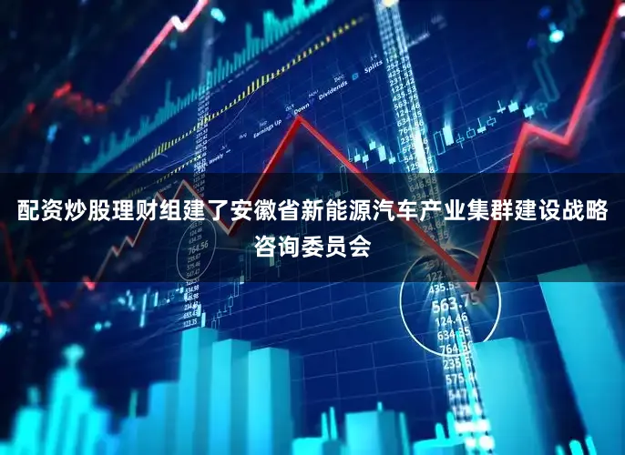 配资炒股理财组建了安徽省新能源汽车产业集群建设战略咨询委员会